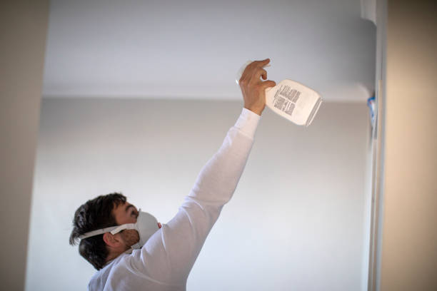 Best Mold Cleaning Services  in District Heights, MD