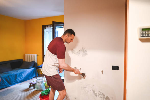 Best Mold Testing  in District Heights, MD